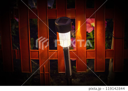 Garden lamp in the flower garden Garden lamp in the flower garden 119142844