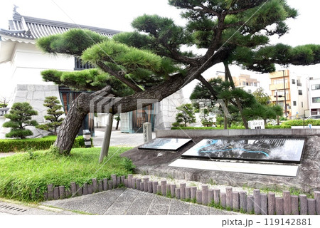 愛知県　岡崎公園の岡崎二十七曲り案内石碑と大手門 119142881