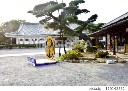 愛知県 岡崎公園の観光施設 愛知県 岡崎公園の観光施設 119142882