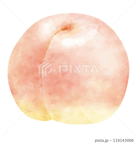 水彩で描いた新鮮な桃のイラスト 119143006