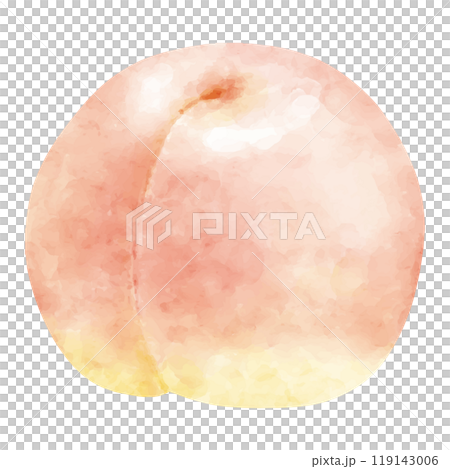 水彩で描いた新鮮な桃のイラスト 119143006