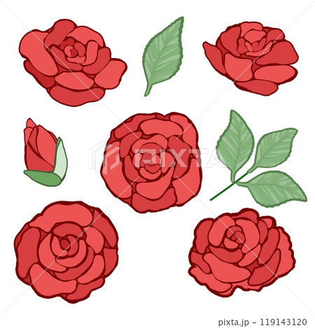 赤薔薇 119143120