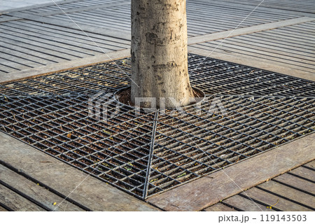 Tree protection in the city Tree protection in the city 119143503