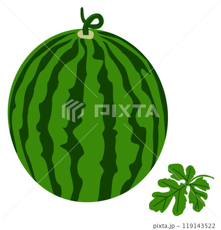 Watermelon With Leaf Vector Illustration. Fresh, Juicy Fruit. Vibrant Green Foliage for Summertime Decor, Food Themed Art, Healthy, Vegan Friendly Design. Vector illustration 119143522