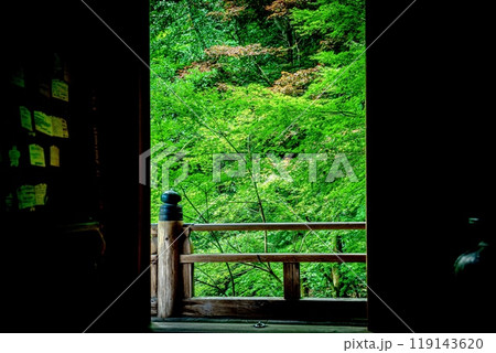 額の中の緑 119143620