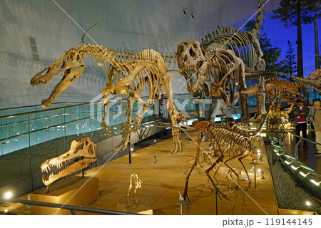 福井県恐竜博物館 獣脚類の展示品 119144145