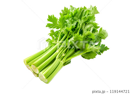 Green Pascal celery isolated on a white transparent background. Perfect for salads, various cooking methods, and healthy, nutritious dishes Green Pascal celery isolated on a white transparent background. Perfect for salads, various cooking methods, and healthy, nutritious dishes 119144721