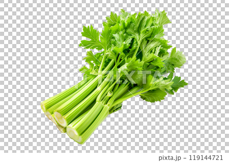 Green Pascal celery isolated on a white transparent background. Perfect for salads, various cooking methods, and healthy, nutritious dishes Green Pascal celery isolated on a white transparent background. Perfect for salads, various cooking methods, and healthy, nutritious dishes 119144721