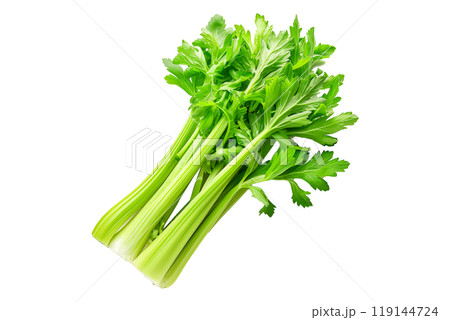 Green Pascal celery isolated on a white transparent background. Perfect for salads, various cooking methods, and healthy, nutritious dishes Green Pascal celery isolated on a white transparent background. Perfect for salads, various cooking methods, and healthy, nutritious dishes 119144724