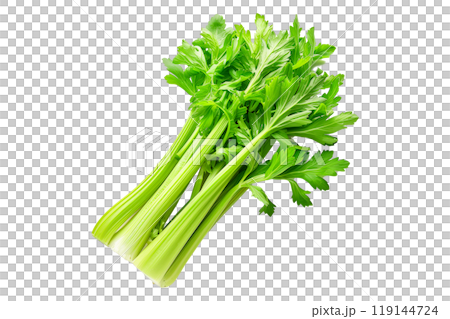 Green Pascal celery isolated on a white transparent background. Perfect for salads, various cooking methods, and healthy, nutritious dishes Green Pascal celery isolated on a white transparent background. Perfect for salads, various cooking methods, and healthy, nutritious dishes 119144724