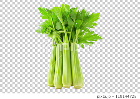 Green Pascal celery isolated on a white transparent background. Perfect for salads, various cooking methods, and healthy, nutritious dishes 119144728