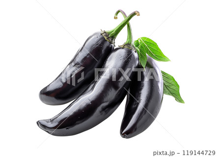 Green Pasilla Chili Pepper isolated on a white background. Green Pasilla Chili Pepper isolated on a white background. 119144729