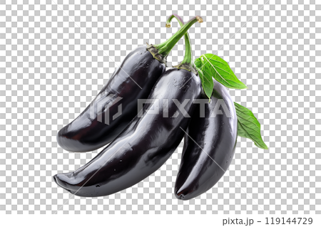 Green Pasilla Chili Pepper isolated on a white background. Green Pasilla Chili Pepper isolated on a white background. 119144729