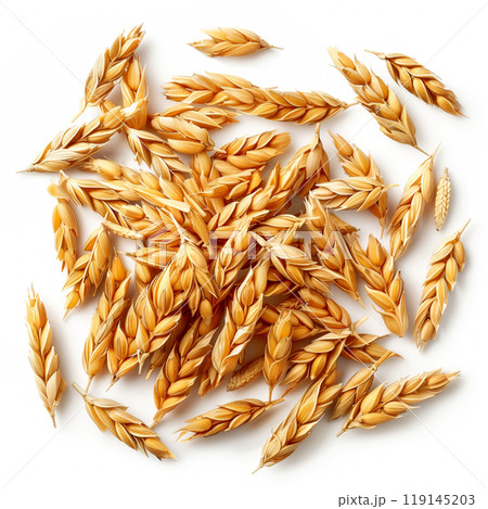 Closeup of a pile of golden rice grains or barberry isolated on a white background. Natural and organic food concept Closeup of a pile of golden rice grains or barberry isolated on a white background. Natural and organic food concept 119145203