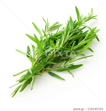Bunch of tarragon isolated on a white background 119145331