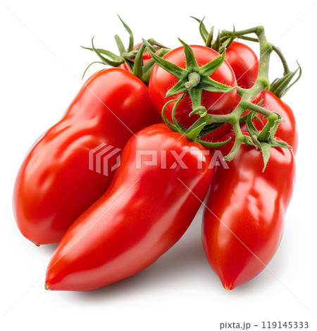 Red San Marzano tomato with a green stem isolated on a white background 119145333