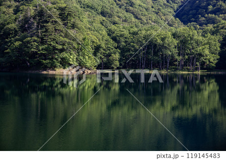 神秘の湖豊似湖の自然美 119145483