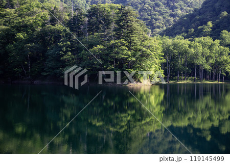 神秘の湖豊似湖の自然美 119145499