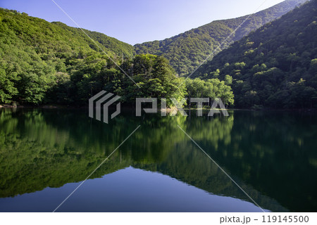 神秘の湖豊似湖の自然美 神秘の湖豊似湖の自然美 119145500