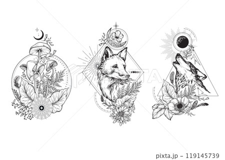 Collection of black and white mystical compositions with moths, animals, plants, elements of astrology and sacred geometry. 119145739