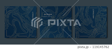 Vector set of abstract map topography, wood texture, organic shape patters. Gold on blue and white, curve sea template. Vector set of abstract map topography, wood texture, organic shape patters. Gold on blue and white, curve sea template. 119145762