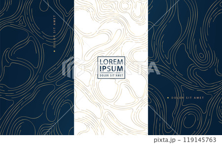 Vector set of abstract map topography, wood texture, organic shape patters. Gold on blue and white, curve sea template. 119145763