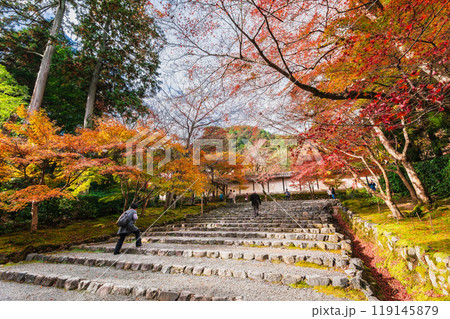 秋の京都　二尊院　紅葉の馬場 119145879