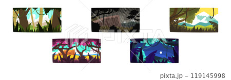 Jungle and Rainforest with Dense Trees, Lush Vegetation and Hanging Lianas Picture Vector Set 119145998