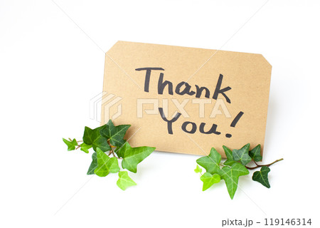 感謝のメッセージと植物 感謝のメッセージと植物 119146314