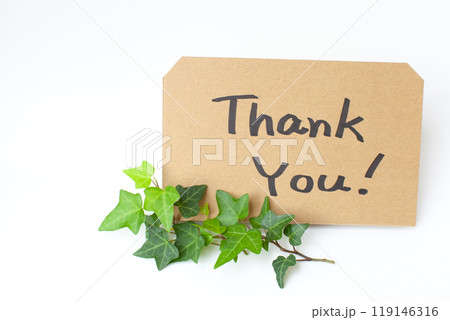 感謝のメッセージと植物 感謝のメッセージと植物 119146316