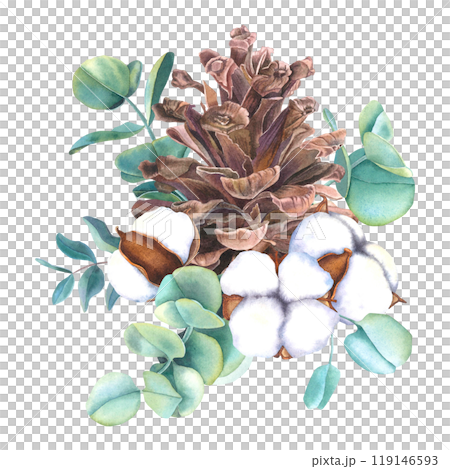 Watercolor illustration of pinecone with bolls of cotton flowers and eucalyptus branches. Drawing of botanical elements on isolated background for creating a festive decor, holiday cards, invitations. Watercolor illustration of pinecone with bolls of cotton flowers and eucalyptus branches. Drawing of botanical elements on isolated background for creating a festive decor, holiday cards, invitations. 119146593
