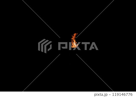 世界に届け平和の灯　広島平和記念公園 119146776