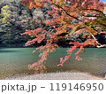 Arashiyama autumn season in Kyoto Japan. Foliage 119146950