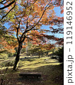 Arashiyama autumn season in Kyoto Japan. Foliage 119146952