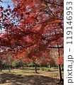 Arashiyama autumn season in Kyoto Japan. Foliage 119146953