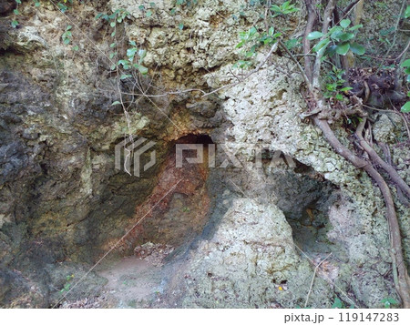 沖縄　仲泊遺跡4 119147283