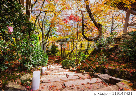 秋の京都　二尊院 119147421