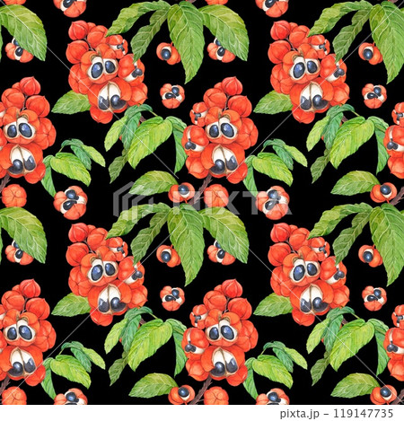Watercolor seamless pattern with exotic fruits Paullinia cupana or Guarana, berries and leaves on black background. Superfood for energy drinks. Botanical illustration for print, fabric or wallpaper. Watercolor seamless pattern with exotic fruits Paullinia cupana or Guarana, berries and leaves on black background. Superfood for energy drinks. Botanical illustration for print, fabric or wallpaper. 119147735