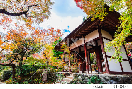 秋の京都　常寂光寺　仁王門 119148485