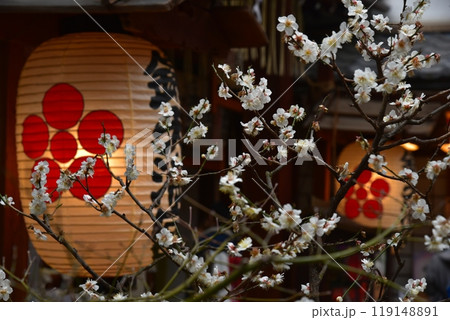 夜に咲く梅の花 119148891
