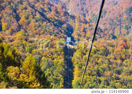 秋　苗場ドラゴンドラ 119148900