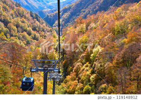 秋　苗場ドラゴンドラ 119148912