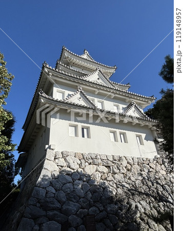 大垣城 大垣城 119148957