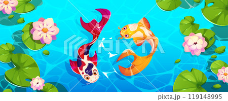 Chinese koi fish and lotus top view pond vector Chinese koi fish and lotus top view pond vector 119148995