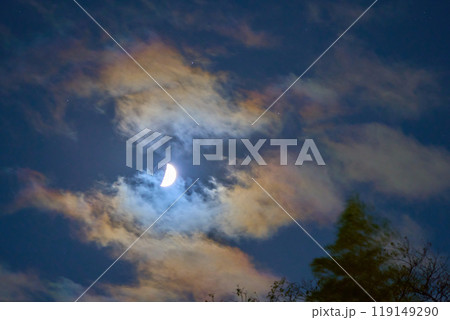 秋の神奈川県川崎市で見た(半月の)月光彩雲と地球照 119149290