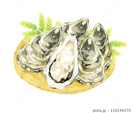 竹ざるに乗った牡蠣　料理・食べ物の手描き水彩イラスト素材 119149379