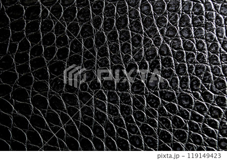 Crocodile skin artificial leather with customizable space for text or for mockup Crocodile skin artificial leather with customizable space for text or for mockup 119149423