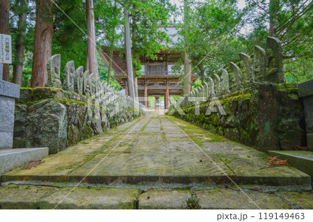 【廣田寺】百体観音が並ぶ参道【松本市会田】 【廣田寺】百体観音が並ぶ参道【松本市会田】 119149463