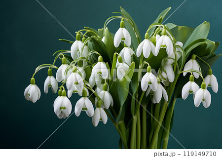 bouquet of snowdrops on a green background bouquet of snowdrops on a green background 119149710
