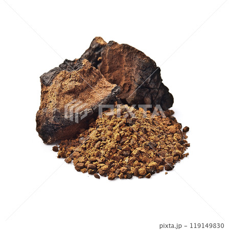 Chaga mushroom Chaga mushroom 119149830